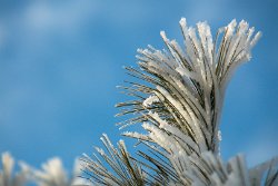 12 10-Feb-13 09-27-59 D300 065